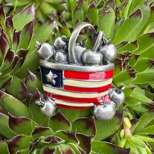 Vintage Patriotic Military Family Apple Bushel 4th Memorial Day Enameled Brooch